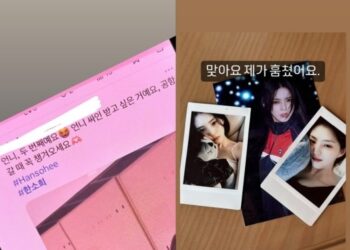 “언니, 두 번째다” 팬 SNS에…한소희 “맞아요, 제가 훔쳤어요” 무슨 일? | 연예