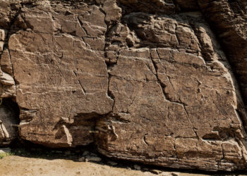 울산 반구대 암각화 유네스코 세계유산 등재 도전