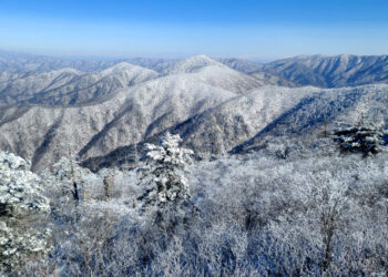 [포토] ‘겨울 작품’ 상고대