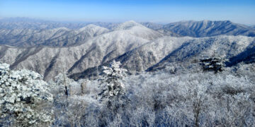 [포토] ‘겨울 작품’ 상고대