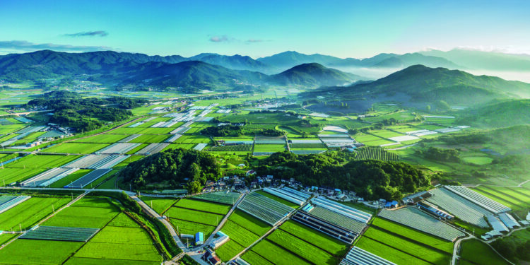 ‘40년간 발굴’ 집념… 운봉고원서 잠든 가야 문명 깨우다