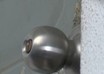 “속옷만 착용한 채 문신 보여준 이웃…소변도 뿌렸다”