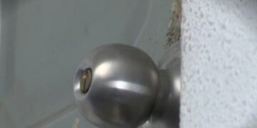 “속옷만 착용한 채 문신 보여준 이웃…소변도 뿌렸다”