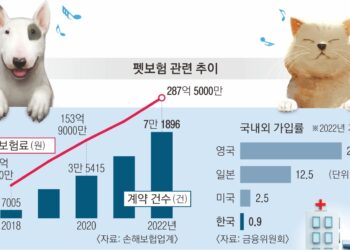 “멍냥이들 교통사고 100만원 드립니다” | 서울신문