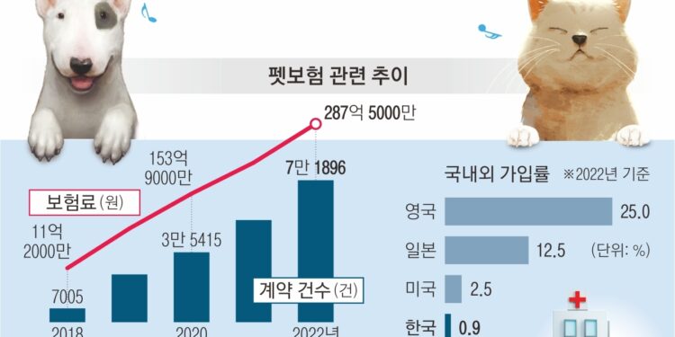 “멍냥이들 교통사고 100만원 드립니다” | 서울신문