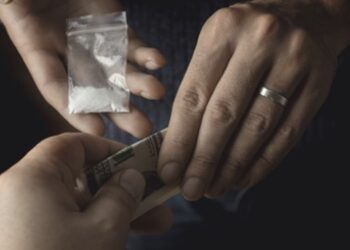 [단독] “마약사범은 숨 쉬는 것 빼곤 다 거짓말?”… 감형받으려 ‘무고’ ‘보복’ 부지기수