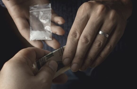 [단독] “마약사범은 숨 쉬는 것 빼곤 다 거짓말?”… 감형받으려 ‘무고’ ‘보복’ 부지기수