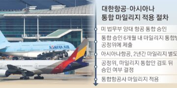 메가 항공사 ‘마일리지 통합’… 2년간 따로 적립될 듯