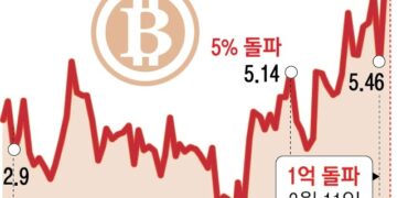 해외보다 비싼 국내 비트코인… ‘김치 프리미엄’ 8% 넘었다