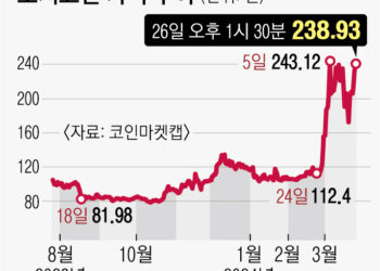 1000% 널뛰는데… 부담 없이 밈코인? 일확천금 꿈꾸는 MZ들 ‘위험한 투자’