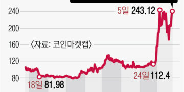 1000% 널뛰는데… 부담 없이 밈코인? 일확천금 꿈꾸는 MZ들 ‘위험한 투자’