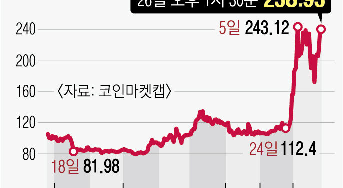 1000% 널뛰는데… 부담 없이 밈코인? 일확천금 꿈꾸는 MZ들 ‘위험한 투자’