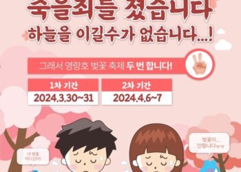 “죽을 죄 지었다”…속초시 ‘벚꽃축제’서 무슨 일이