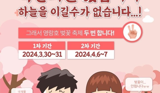 “죽을 죄 지었다”…속초시 ‘벚꽃축제’서 무슨 일이