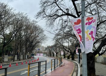 축제 열렸는데… 봄꽃은 ‘딴청’ | 서울신문