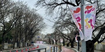 축제 열렸는데… 봄꽃은 ‘딴청’ | 서울신문