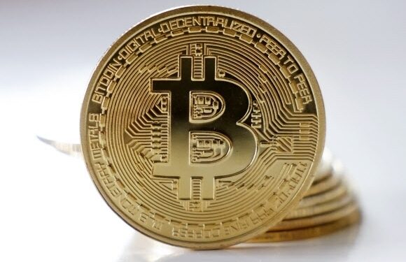 [단독] 비트코인 반감기 21일 ‘카운트다운’