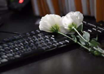 공무상 재해 사망 공무원 자녀에 만 24세까지 유족급여