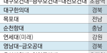 영남-금오공대 등 연합… 글로컬대 첫 관문 통과