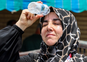 “더위에 숨진 시신 즐비” 하지 기간 더위 순교 1100명…이집트, 여행사 기소