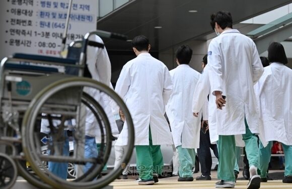 “전공의 돌아오면 전문의 차질 없이 따게 해줄게” 정부 절절… 전공의 8%만 근무