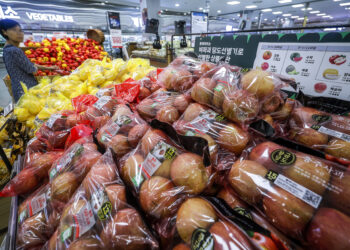 물가 2%대 유지했지만… 金배 139% 金사과 63% ‘고공 행진’