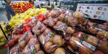 물가 2%대 유지했지만… 金배 139% 金사과 63% ‘고공 행진’