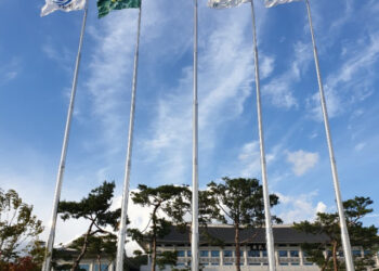 지자체들, 대형 태극기 게양대 추진… 애국심·예산 낭비 논란