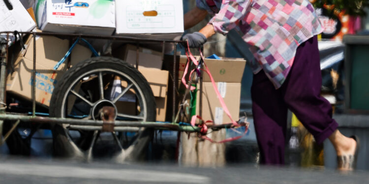 폐지 줍는 노인, 전국 1만 5000명… ‘월소득 77만원’ 겨우 버티는 삶