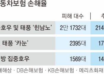 “벌써 1569대 침수”… 손보사, 대응팀 가동 ‘초비상’