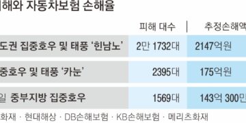 “벌써 1569대 침수”… 손보사, 대응팀 가동 ‘초비상’