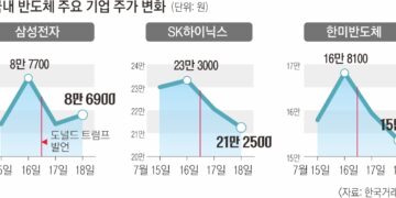 트럼프發 ‘반도체 장벽’ 우려 확산… 한국 경제까지 경고음