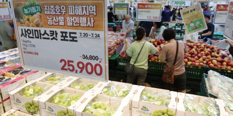 폭우·폭염·폭우… 밥상물가 또 ‘경고등’ | 서울신문