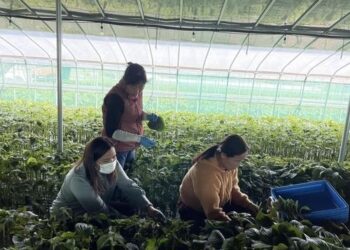 “한국서 번 돈, 가족들 안 줘요”…외국인 근로자들 ‘돌변’한 사연