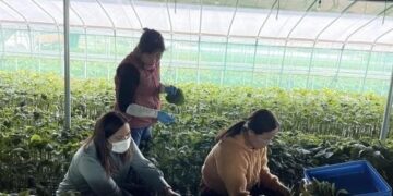 “한국서 번 돈, 가족들 안 줘요”…외국인 근로자들 ‘돌변’한 사연