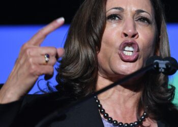 “트럼프는 사기꾼”… 전직 검사 vs 범죄자 프레임 만드는 해리스