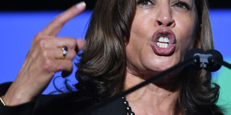 “트럼프는 사기꾼”… 전직 검사 vs 범죄자 프레임 만드는 해리스