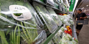 다시 고개 드는 ‘푸드플레이션’ | 서울신문