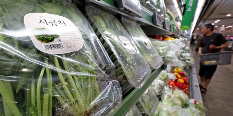다시 고개 드는 ‘푸드플레이션’ | 서울신문