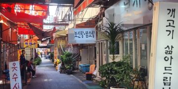 점심에도 빈 보신탕 골목… “장사 접어야지 우짜겠노”