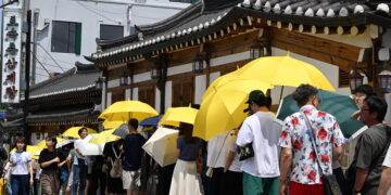 말복 코앞인데…서울 삼계탕 한 그릇 1만7000원 넘었다