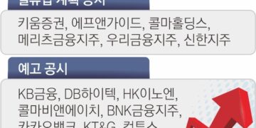 “밸류업 급히 내놨다간 시장 평가 냉랭”… 참여 관망하는 기업