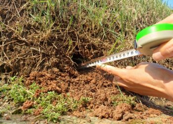 ‘선릉’에 주먹만 한 구멍… 문화재 훼손 50대 여성 체포