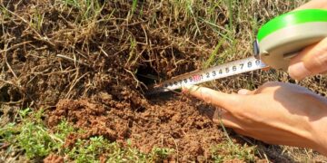 ‘선릉’에 주먹만 한 구멍… 문화재 훼손 50대 여성 체포