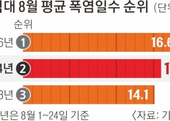 8월 폭염 벌써 14.8일… 역대 두 번째로 더웠다