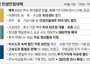추석 성수품 700억 공급… 자금난 소상공인에 43조 푼다