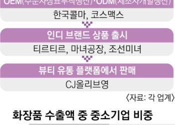 알리·아마존도 탐내는 ‘K뷰티 밸류체인’의 힘