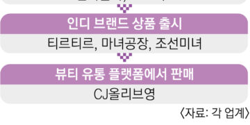 알리·아마존도 탐내는 ‘K뷰티 밸류체인’의 힘