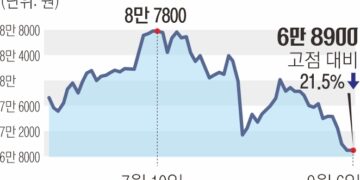 7만 전자·16만 닉스 깨졌다… ‘반도체 피크론’ 고개