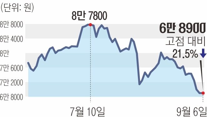 7만 전자·16만 닉스 깨졌다… ‘반도체 피크론’ 고개